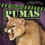 Perilous Pumas by Mary Molly Shea, 9781538210918