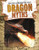 Dragon Myths - 9781538214411 by Jennifer Mason, 9781538214411
