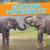 Animal Math: Set 3 - 9781538215852 by , 9781538215852