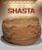 The Shasta - 9781538324912 by Michaela Seymour, 9781538324912