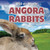 Angora Rabbits - 9781538325254 by Marigold Brooks, 9781538325254