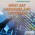What Are Hardware and Software? - 9781680488517 by Cathleen Small, 9781680488517