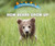 How Bears Grow Up by Heather Moore Niver, 9780766096356