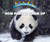 How Pandas Grow Up - 9780766096561 by Lisa Idzikowski, 9780766096561