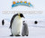 How Penguins Grow Up - 9780766096608 by Lisa Idzikowski, 9780766096608