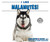 I Like Malamutes! by Linda Bozzo, 9780766096677
