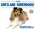I Like Shetland Sheepdogs! by Linda Bozzo, 9780766096790