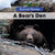 A Bear's Den by Arthur Best, 9781502636461