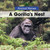 A Gorilla's Nest by Arthur Best, 9781502636669