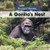 A Gorilla's Nest by Arthur Best, 9781502636669