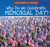 Why Do We Celebrate Memorial Day? - 9781508166597 by Kirsten Lake, 9781508166597