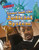 Laws and the Judicial System by Cathleen Small, 9781534564039
