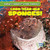 1,000-Year-Old Sponges! - 9781538216989 by Joni Kelly, 9781538216989