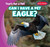 Can I Have a Pet Eagle? - 9781538217863 by Michou Franco, 9781538217863