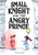 Small Knight and the Angry Prince by Manka Kasha, 9781250856982