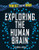 Exploring the Human Brain by Catherine Loveday, 9781499467659