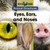 Eyes, Ears, and Noses by Derek Miller, 9781502641809