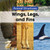 Wings, Legs, and Fins by Derek Miller, 9781502642523