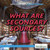What Are Secondary Sources? - 9781508107231 by Michelle McIlroy, 9781508107231
