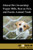Ethical Pet Ownership (Puppy Mills, Rescue Pets, and Exotic Animal Trade) - 9781534504455 by Lisa Idzikowski, 9781534504455