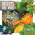 Insects and More by Robin Twiddy, 9781534528635