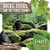 Rocks, Sticks, and the Forest Floor - 9781534528697 by Robin Twiddy, 9781534528697