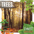 Trees - 9781534528796 by Robin Twiddy, 9781534528796