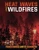 Heat Waves and Wildfires by Joanna Brundle, 9781534528871