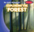 Exploring the Forest by Marie Roesser, 9781538228869