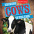Showing Cows at the Fair by Jennifer Wendt, 9781538229286