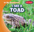 I See a Toad - 9781538231821 by E. T. Weingarten