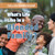 What's Life Like in a Blended Family? - 9781538348109 by Grace Houser, 9781538348109