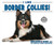 I Like Border Collies! by Linda Bozzo, 9781978501898