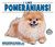 I Like Pomeranians! by Linda Bozzo, 9781978501904