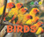 Birds - 9781978502413 by Heather Moore Niver, 9781978502413
