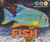 Fish - 9781978502444 by Heather Moore Niver, 9781978502444