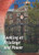 Looking at Privilege and Power by Kelly Glass, 9781978504677