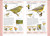 Birds of Eastern Canada by DK, 9780744070712