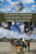 Climate Change and Population Displacement by Marcia Amidon Lusted, 9781534505544