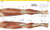 The Complete Human Body (The Definitive Visual Guide) by Dr. Alice Roberts, 9780744073676