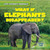What If Elephants Disappeared? - 9781538238103 by Theresa Emminizer, 9781538238103