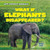 What If Elephants Disappeared? - 9781538238103 by Theresa Emminizer
