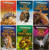 Wild! Exploring Animal Habitats - 9781725304598 by , 9781725304598