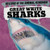 Great White Sharks - 9781725306011 by Caitie McAneney