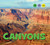 Canyons - 9781978508590 by Kathy Furgang, 9781978508590