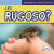 ¿Es rugoso? (What Is Bumpy?) by Emmett Martin, 9781538249741