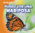 Puedo ver una mariposa (I See a Butterfly) by Alex Appleby, 9781538251027