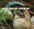 How Snakes Grow Up - 9781978512450 by Linda Bozzo, 9781978512450