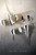 Clear Cut - 9781538385142 by Melody Dodds, 9781538385142