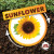 Life Cycle of a Sunflower - 9781534540064 by Kirsty Holmes, 9781534540064